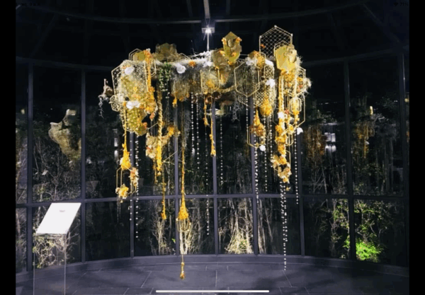 ดอกไม้ centerpiece